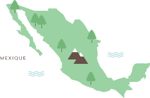illustration Mexique